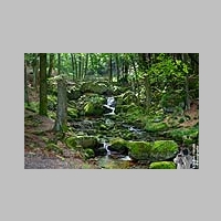 2023_09_17_128_Harz_Ilsenburg_Ilsetal_Wanderung_IMG_1029.jpg